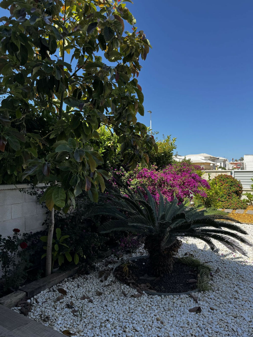 Ground Floor Apartment Torrevieja Alicante - imagen 24
