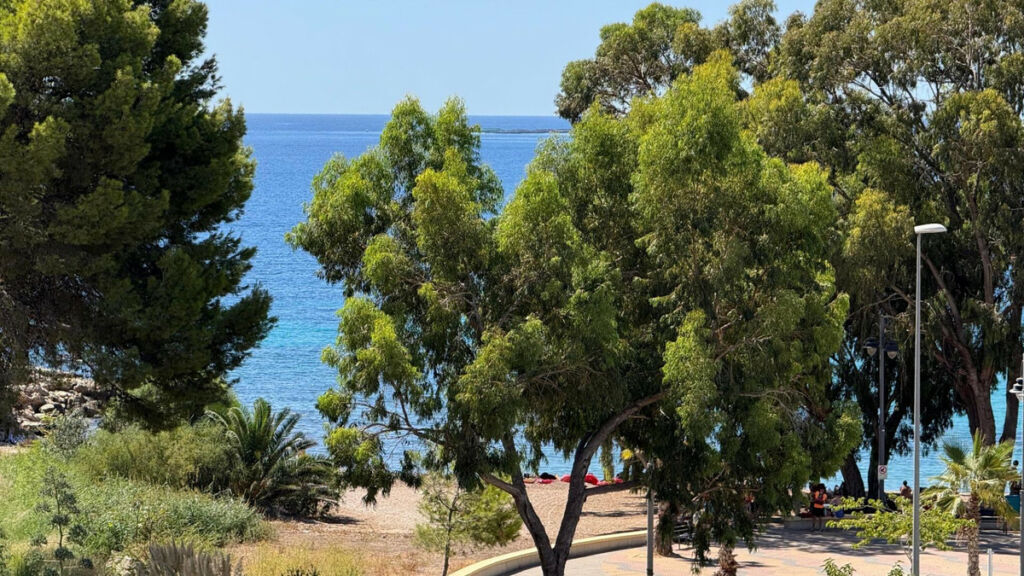 Middle Floor Apartment Villajoyosa Alicante - zdjęcie 24
