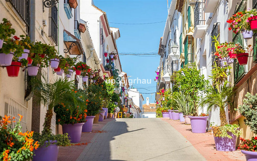 Ground Floor Studio Estepona Málaga - image 25