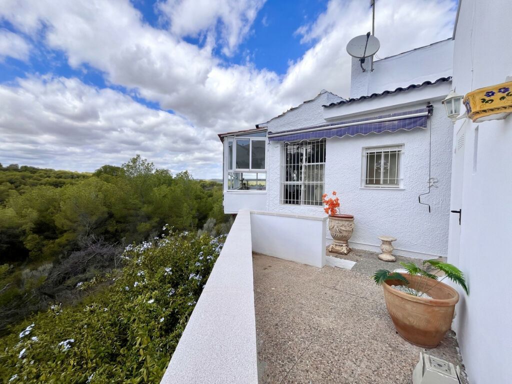Detached Villa Pilar de la Horadada Alicante - image 27