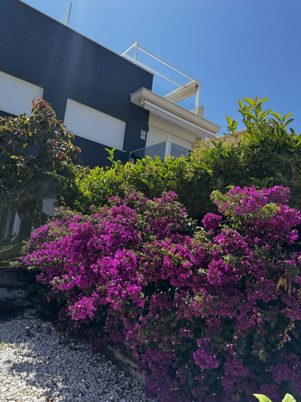 Ground Floor Apartment Torrevieja Alicante - imagen 28