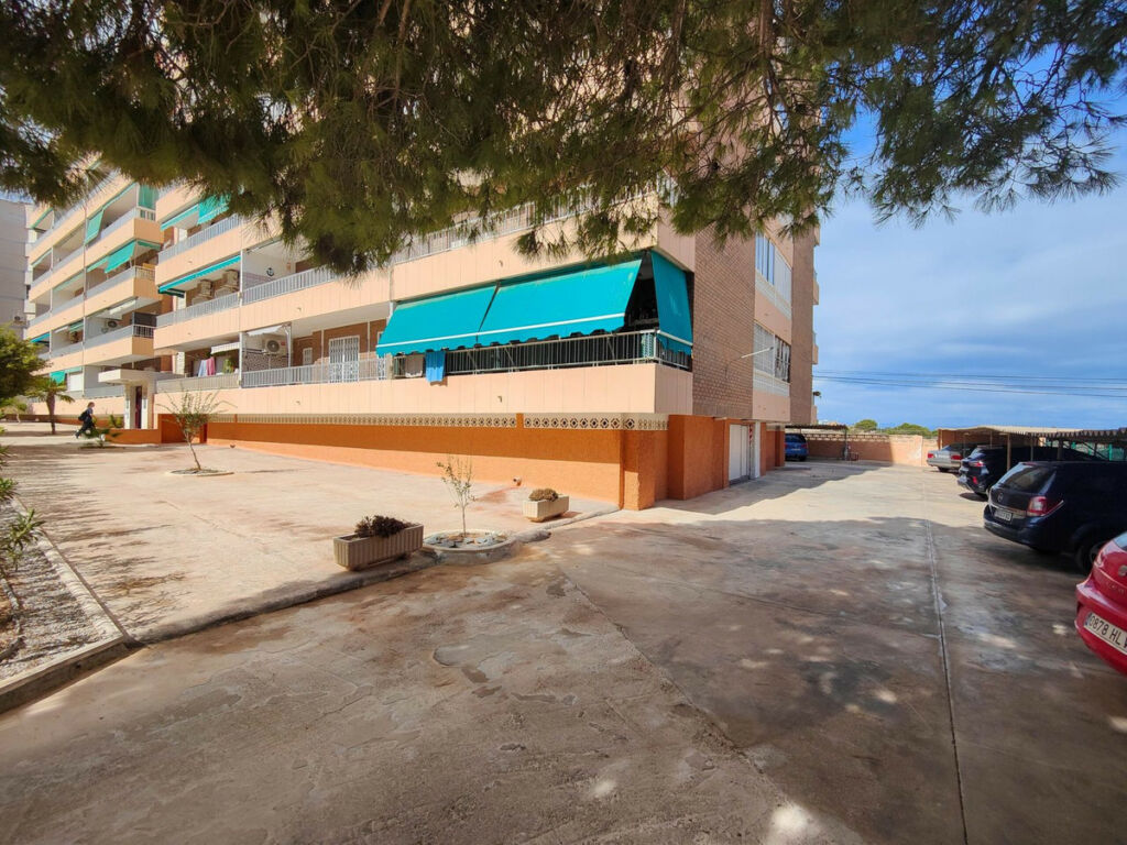 Middle Floor Apartment Punta Prima Alicante - image 29
