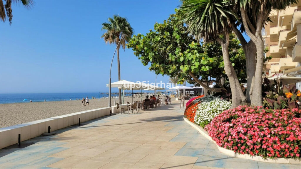 Ground Floor Studio Estepona Málaga - image 30