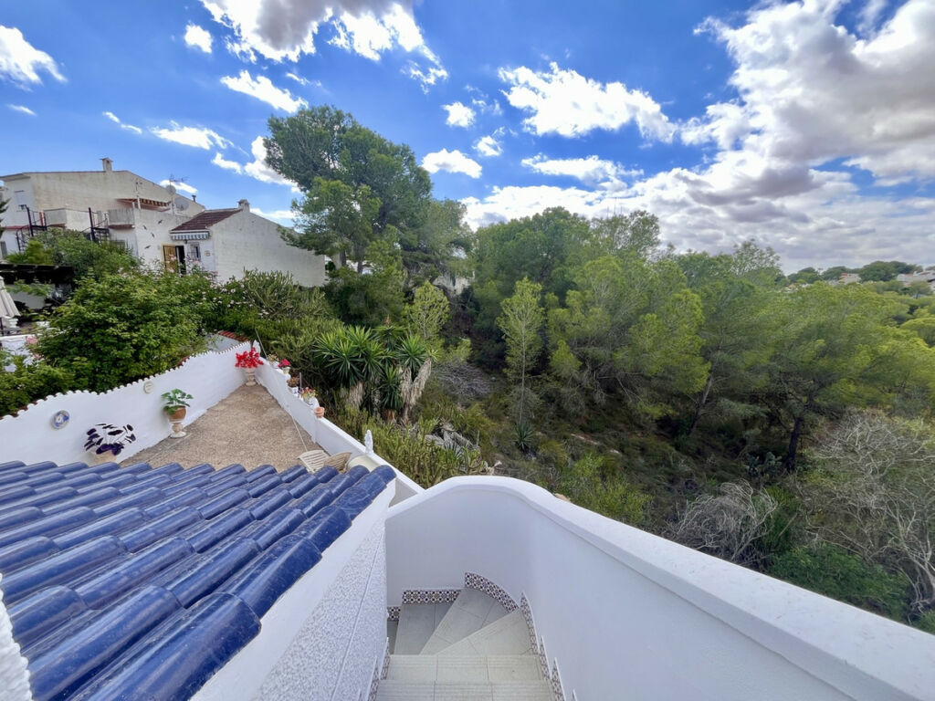 Detached Villa Pilar de la Horadada Alicante - image 31