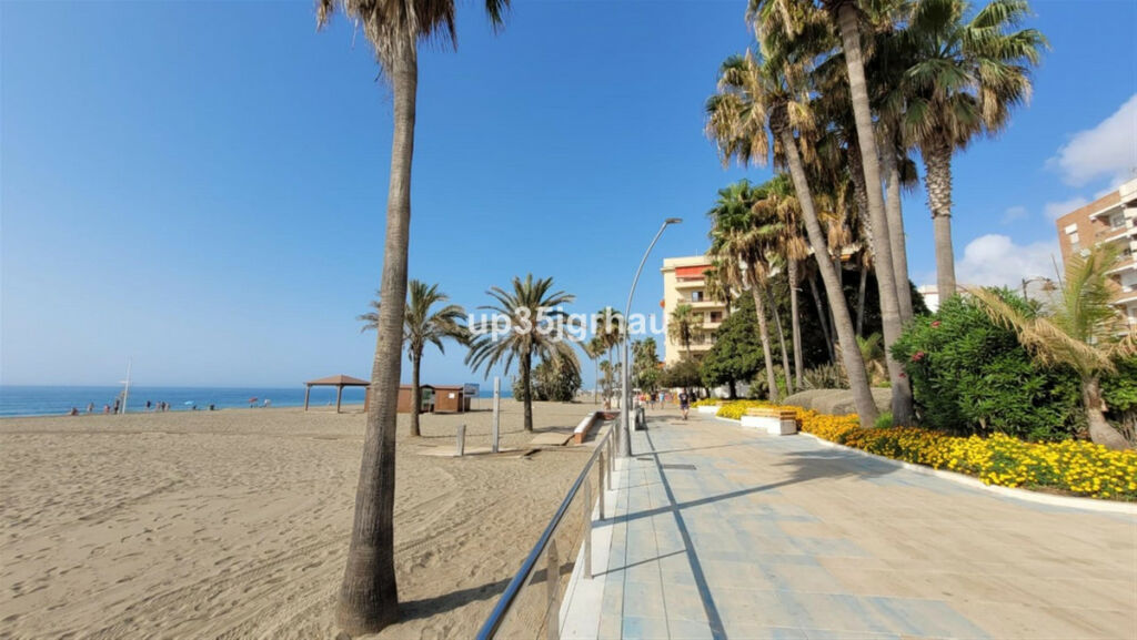 Ground Floor Studio Estepona Málaga - image 31