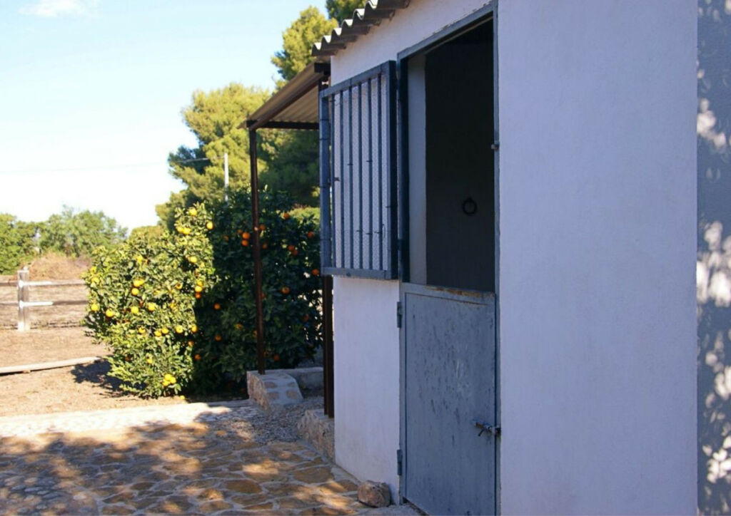 Detached Villa Lorca Murcia - imagen 33