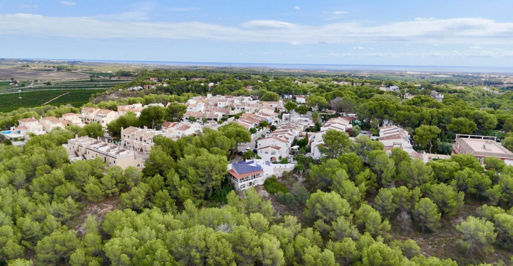 Detached Villa Pinar de Campoverde Alicante - image 39
