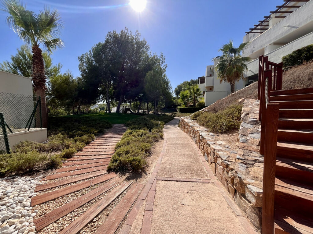 Ground Floor Apartment San Miguel de Salinas Alicante - imagen 40