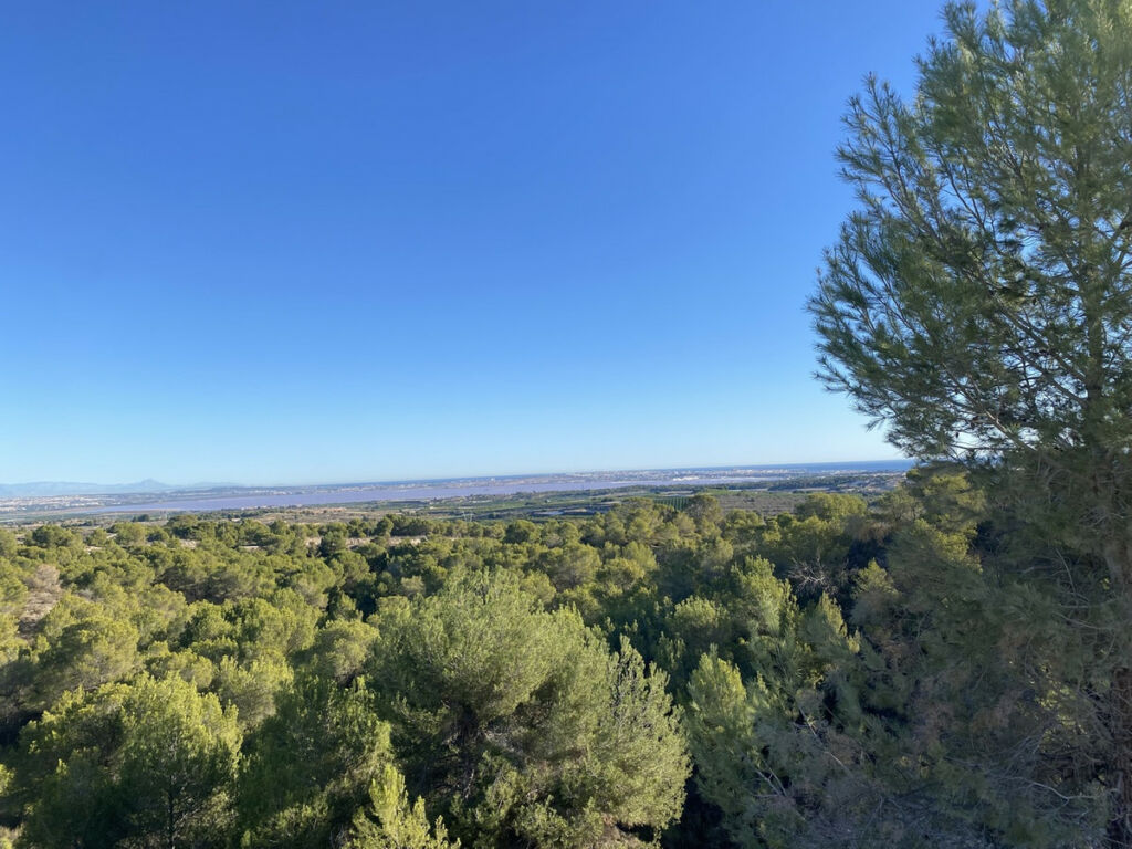 Detached Villa Dehesa de Campoamor Alicante - image 41