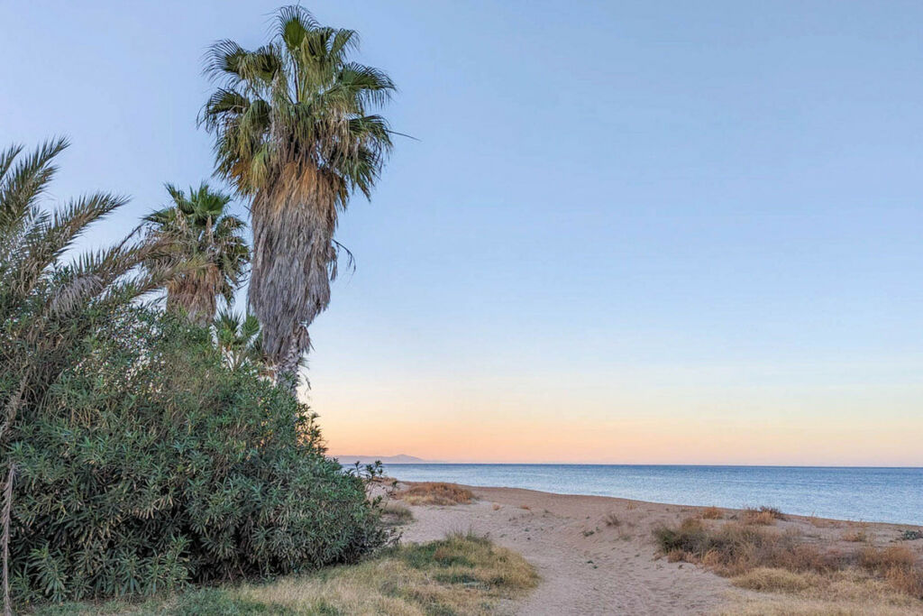 Detached Villa Denia Alicante - image 41