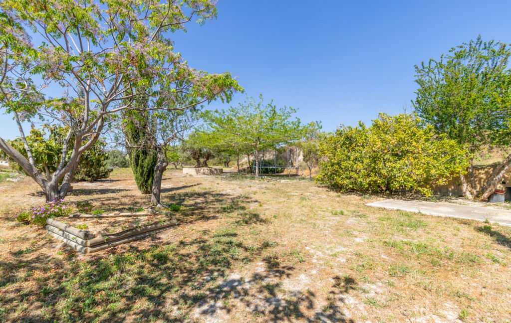Finca - Cortijo Teulada Alicante - imagen 48
