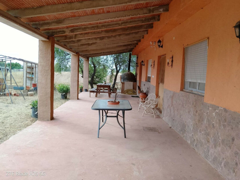 Finca - Cortijo La Magdalena Murcia - imagen 6