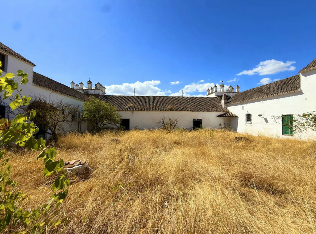 Finca - Cortijo Arcos de la Frontera Cádiz - imagen 3