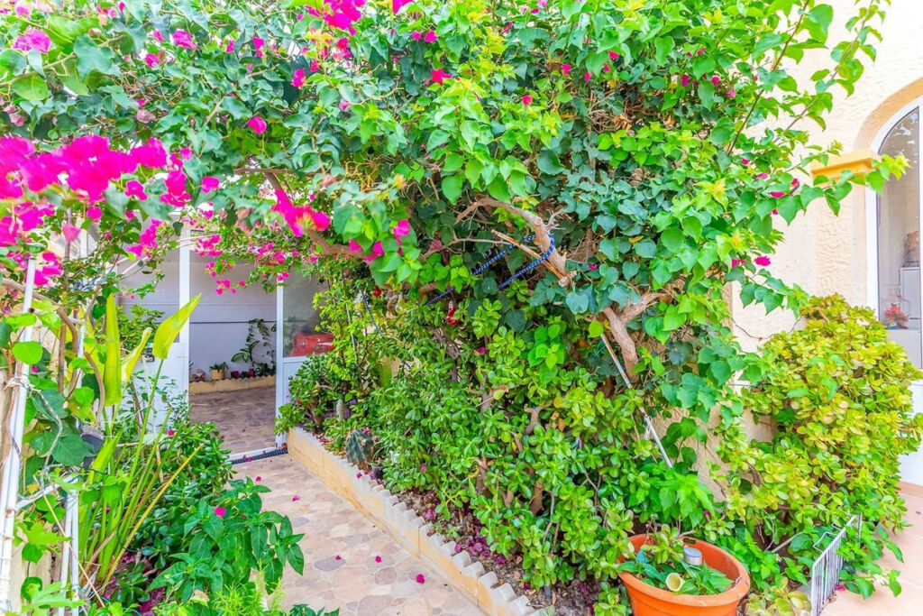 Townhouse Orihuela Costa Alicante - zdjęcie 10