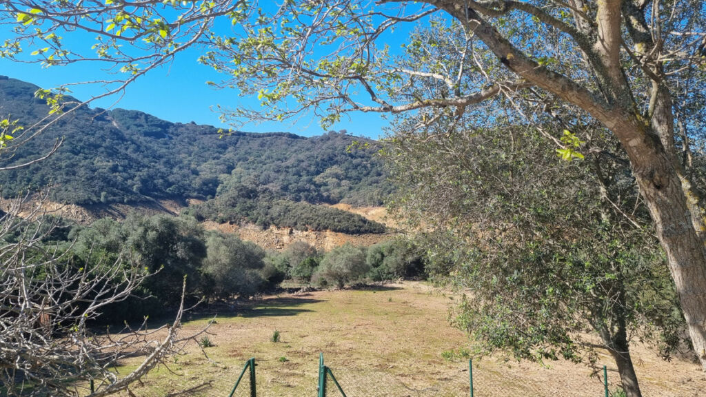 Finca - Cortijo Castellar de la Frontera Cádiz - imagen 10