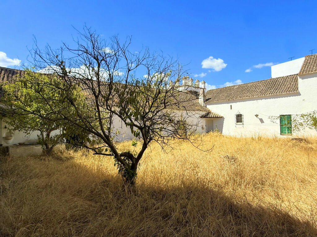 Finca - Cortijo Arcos de la Frontera Cádiz - imagen 11