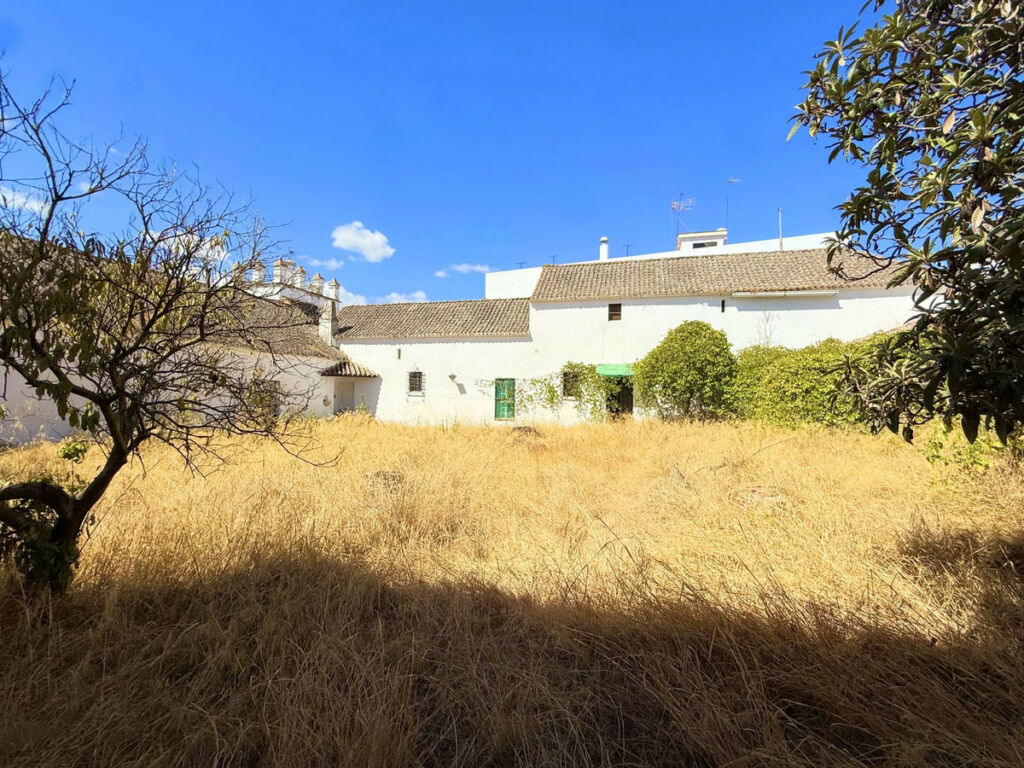 Finca - Cortijo Arcos de la Frontera Cádiz - imagen 12