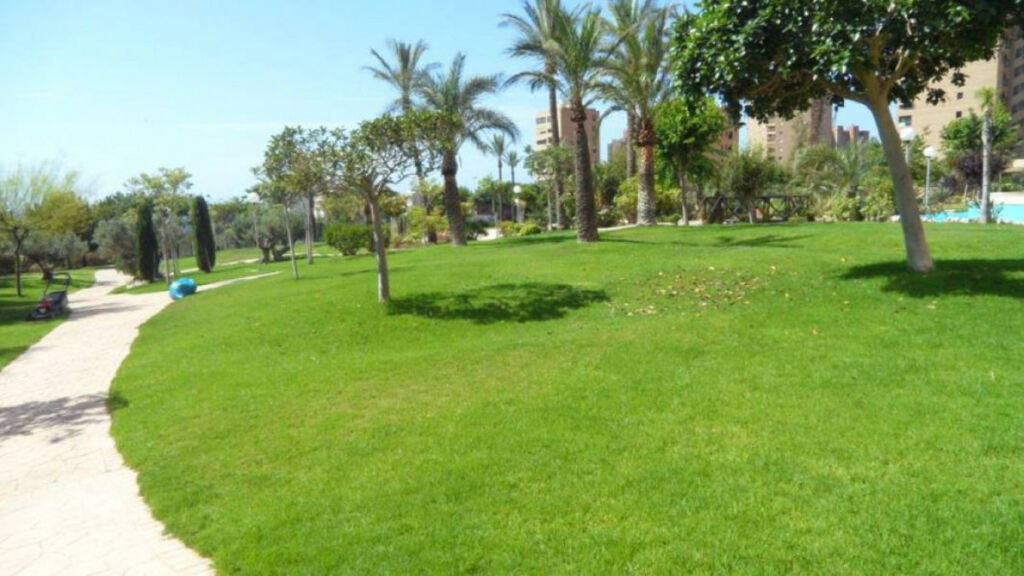 Middle Floor Apartment Benidorm Alicante - imagen 13