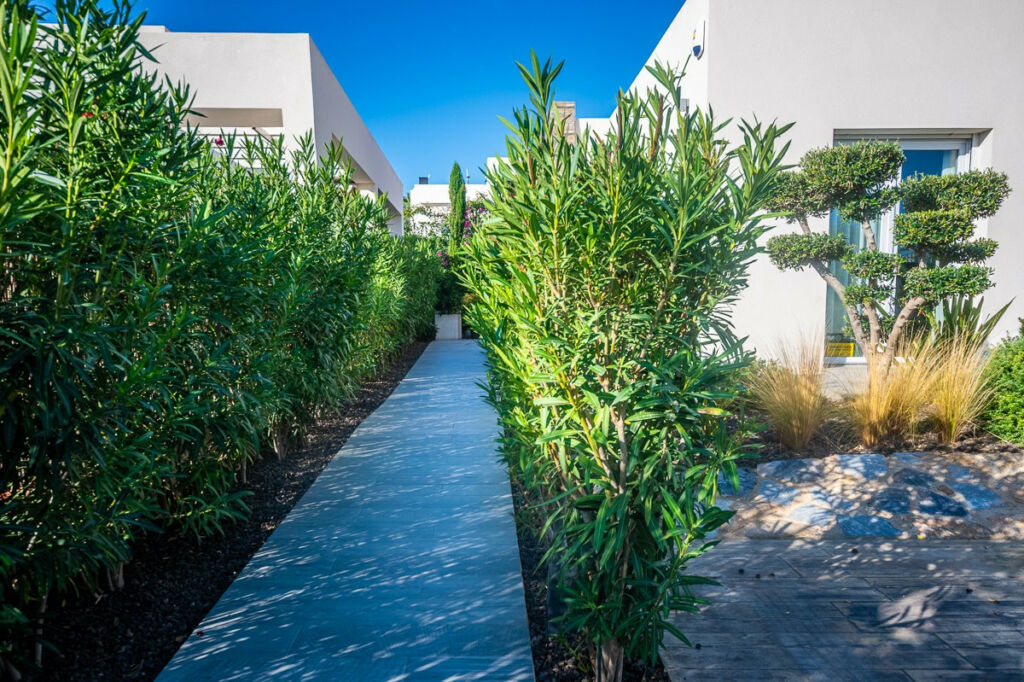Detached Villa Algorfa Alicante - Bild 13