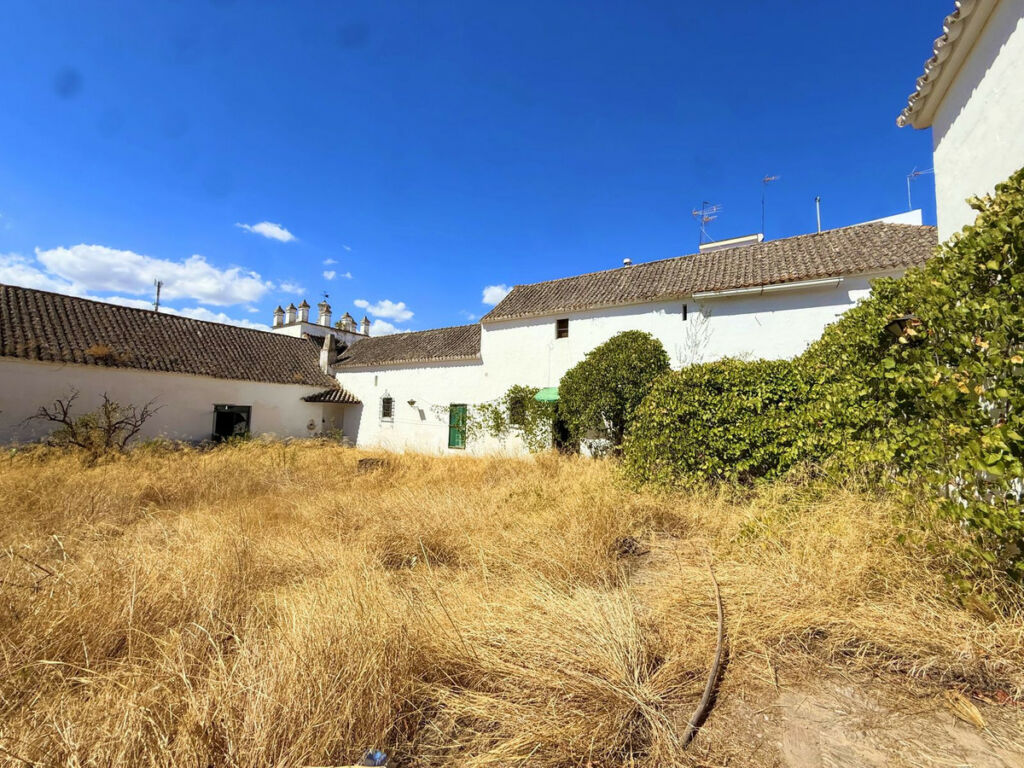 Finca - Cortijo Arcos de la Frontera Cádiz - imagen 13