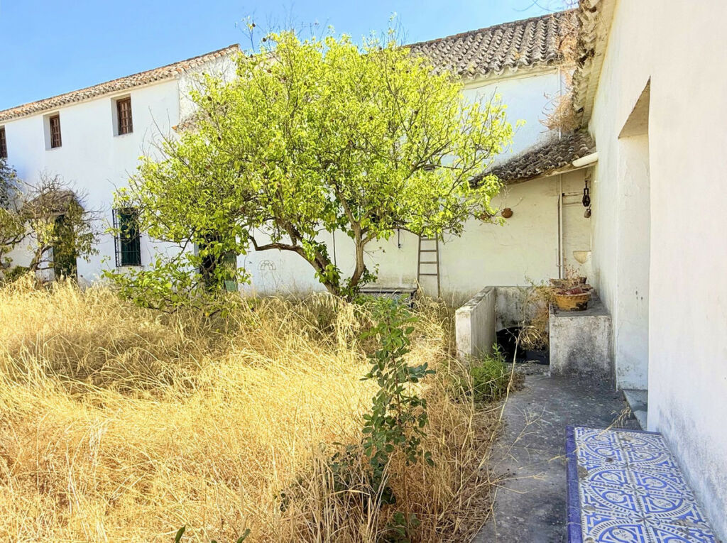 Finca - Cortijo Arcos de la Frontera Cádiz - imagen 14