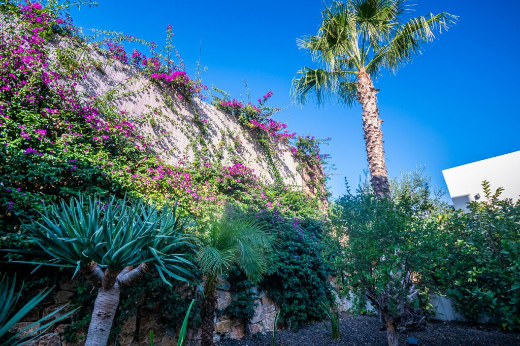 Detached Villa Algorfa Alicante - Bild 16