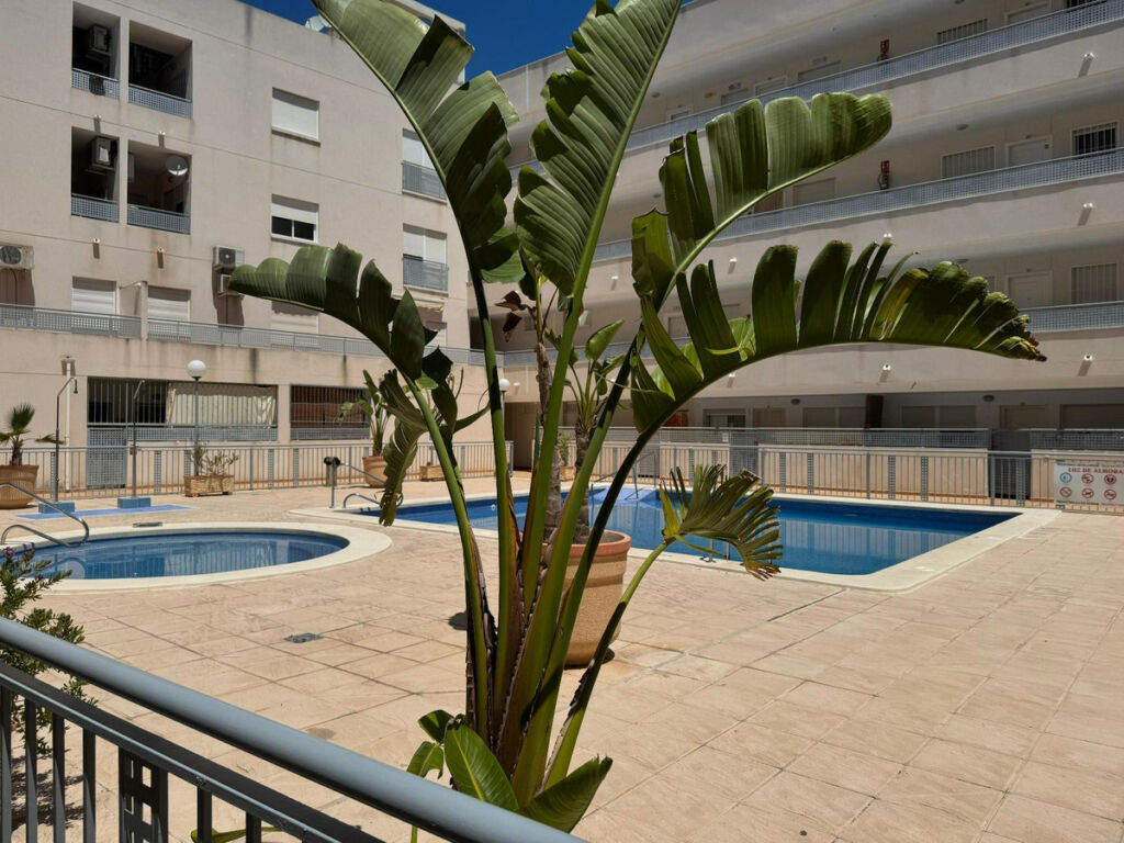 Middle Floor Apartment Almoradi Alicante - zdjęcie 17