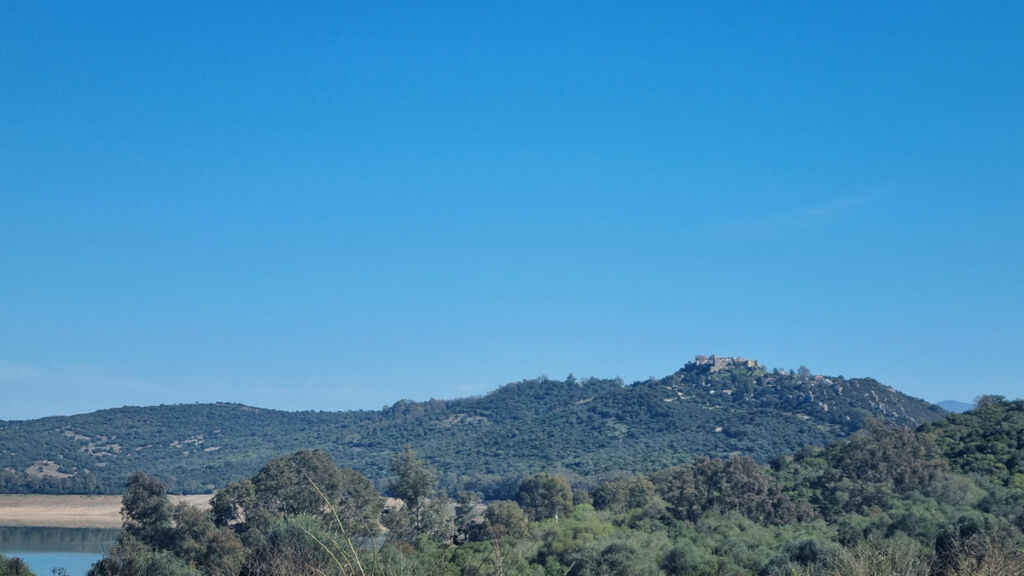 Finca - Cortijo Castellar de la Frontera Cádiz - imagen 18