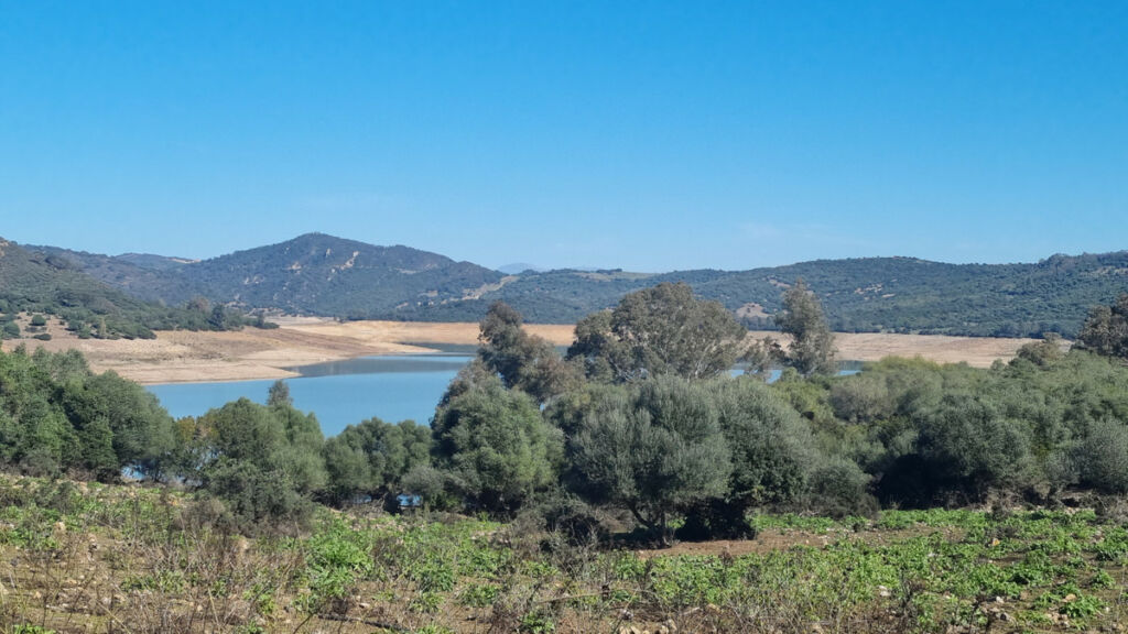 Finca - Cortijo Castellar de la Frontera Cádiz - imagen 20
