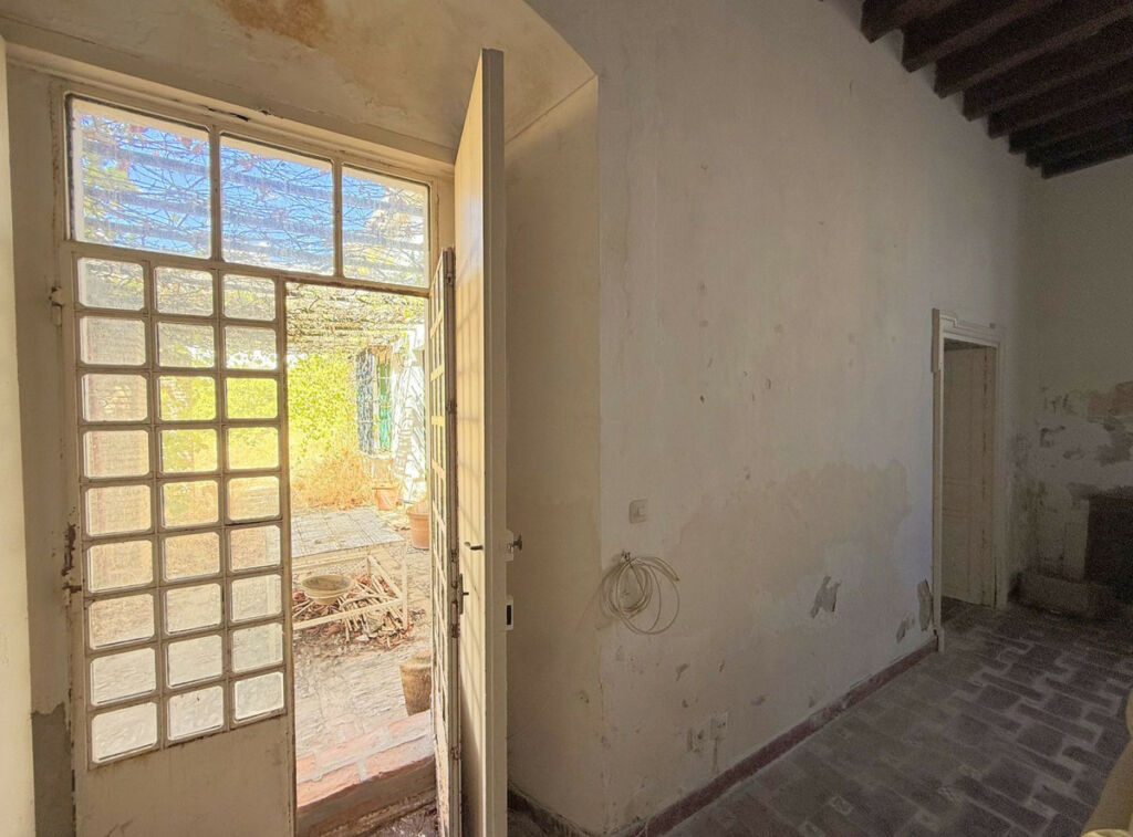 Finca - Cortijo Arcos de la Frontera Cádiz - imagen 21