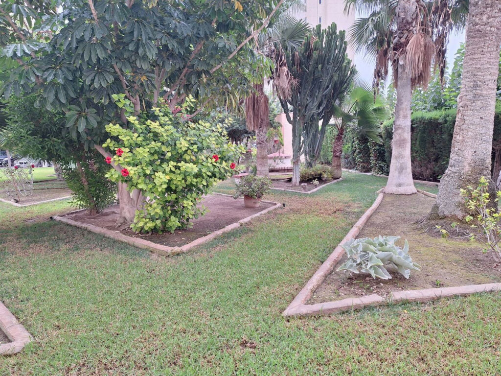 Middle Floor Apartment Finestrat Alicante - imagen 21