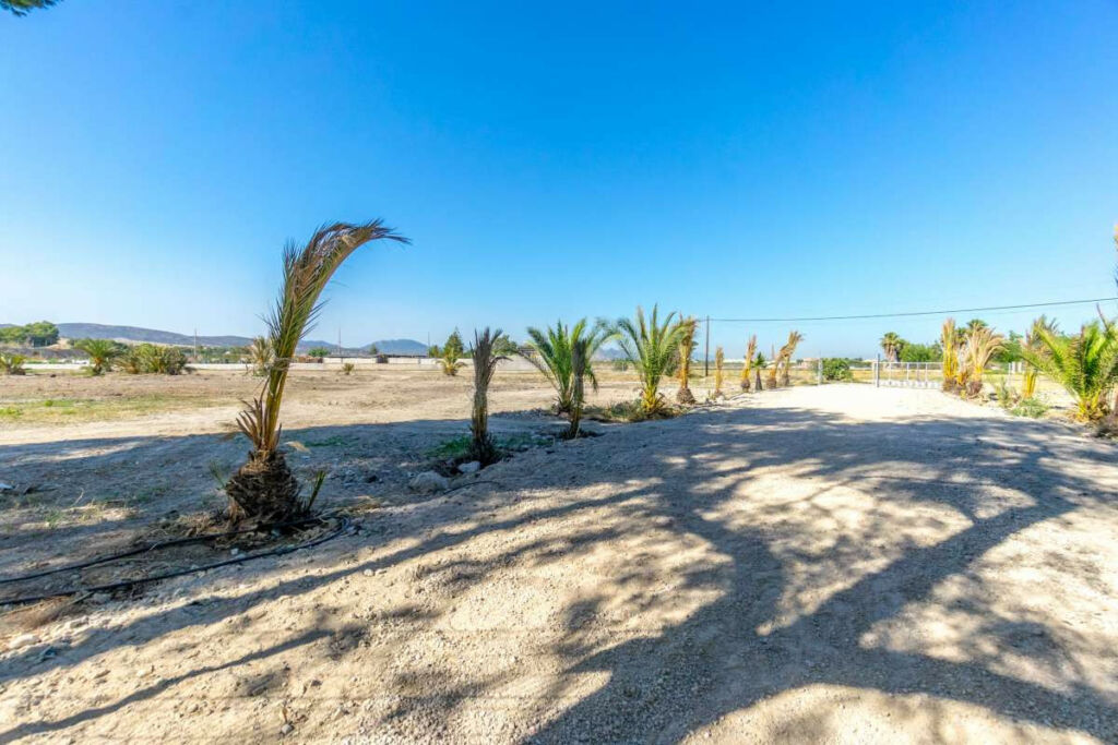 Detached Villa Orihuela Alicante - zdjęcie 23