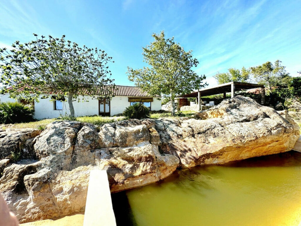 Finca - Cortijo Castellar de la Frontera Cádiz - imagen 29