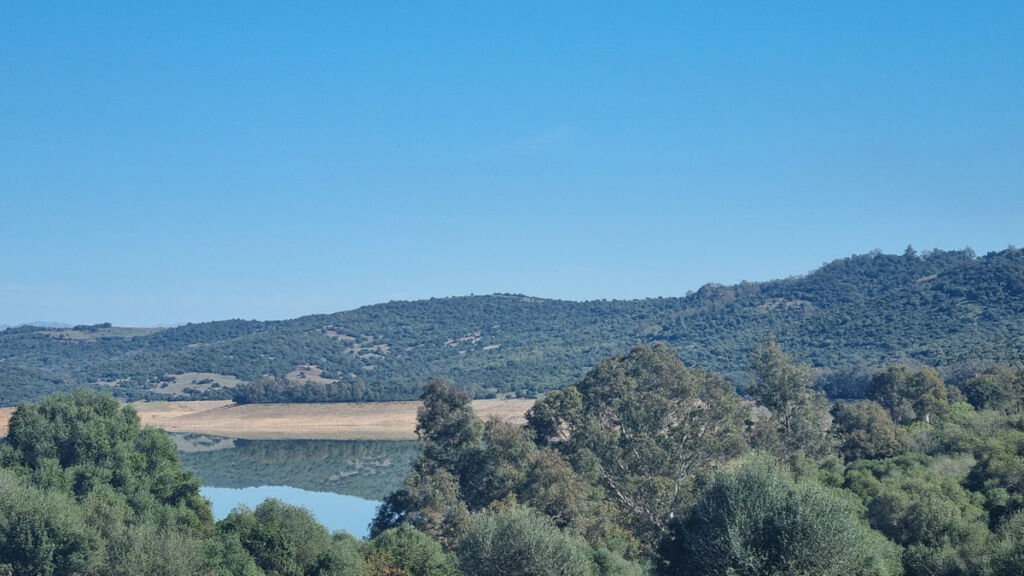 Finca - Cortijo Castellar de la Frontera Cádiz - imagen 3