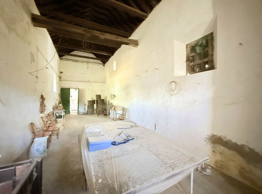 Finca - Cortijo Arcos de la Frontera Cádiz - imagen 35