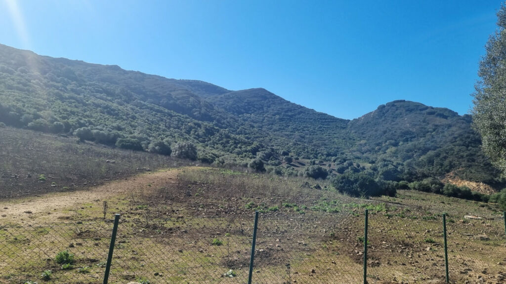 Finca - Cortijo Castellar de la Frontera Cádiz - imagen 4
