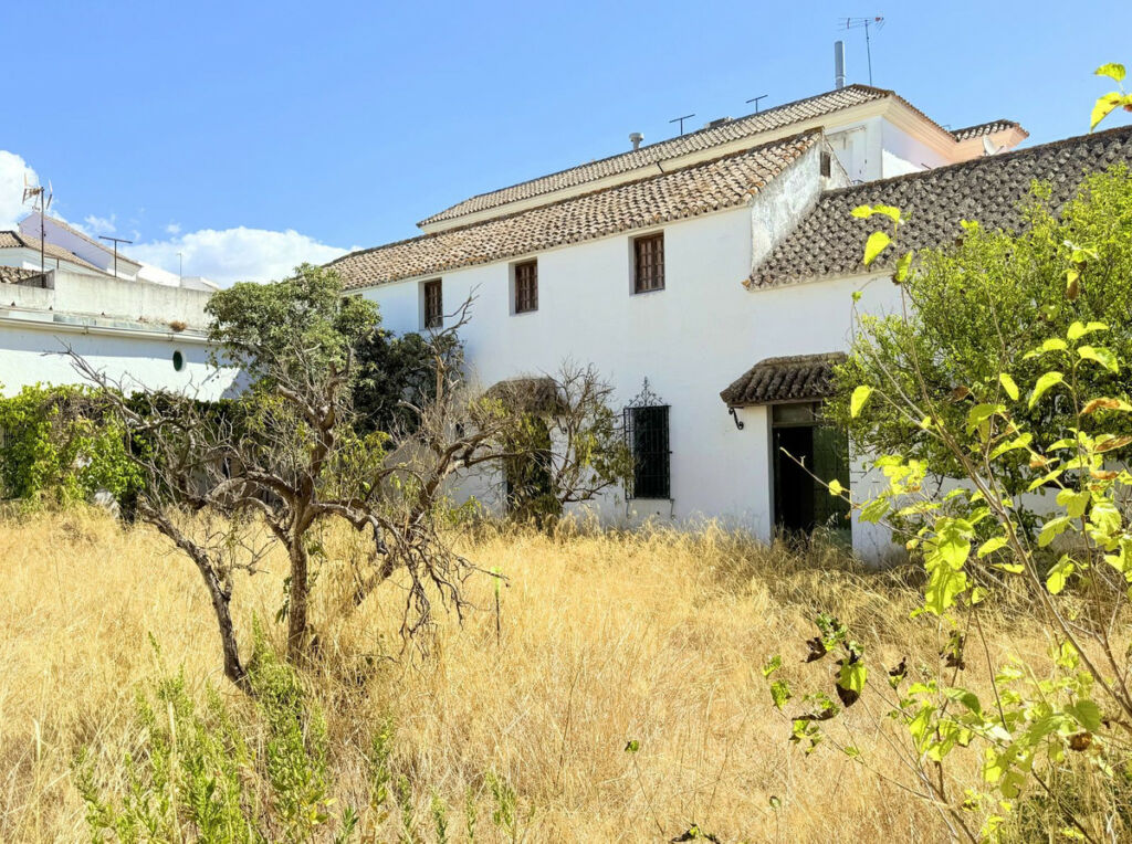 Finca - Cortijo Arcos de la Frontera Cádiz - imagen 4