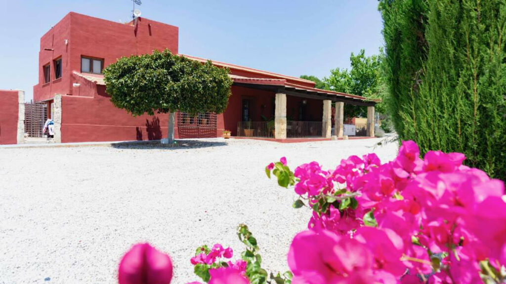 Finca - Cortijo Torremendo Alicante - zdjęcie 40