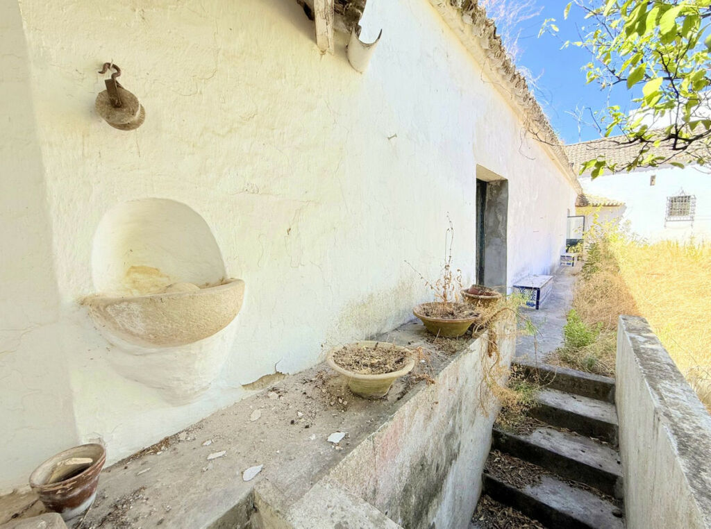 Finca - Cortijo Arcos de la Frontera Cádiz - imagen 40