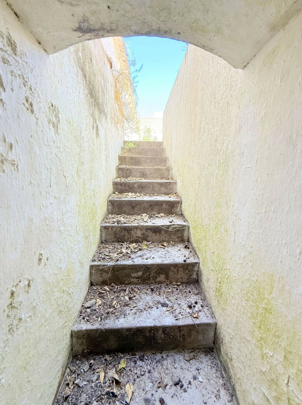 Finca - Cortijo Arcos de la Frontera Cádiz - imagen 42