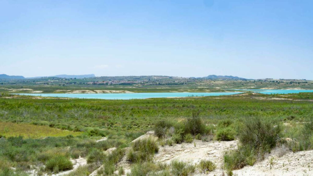 Finca - Cortijo Torremendo Alicante - zdjęcie 42