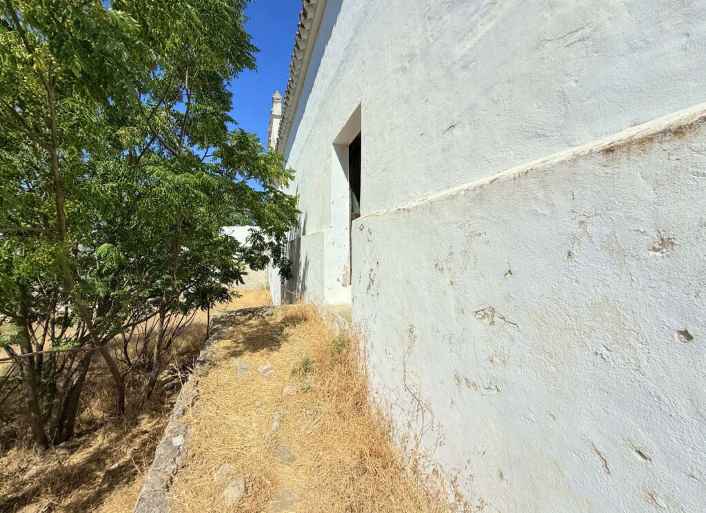 Finca - Cortijo Arcos de la Frontera Cádiz - imagen 43