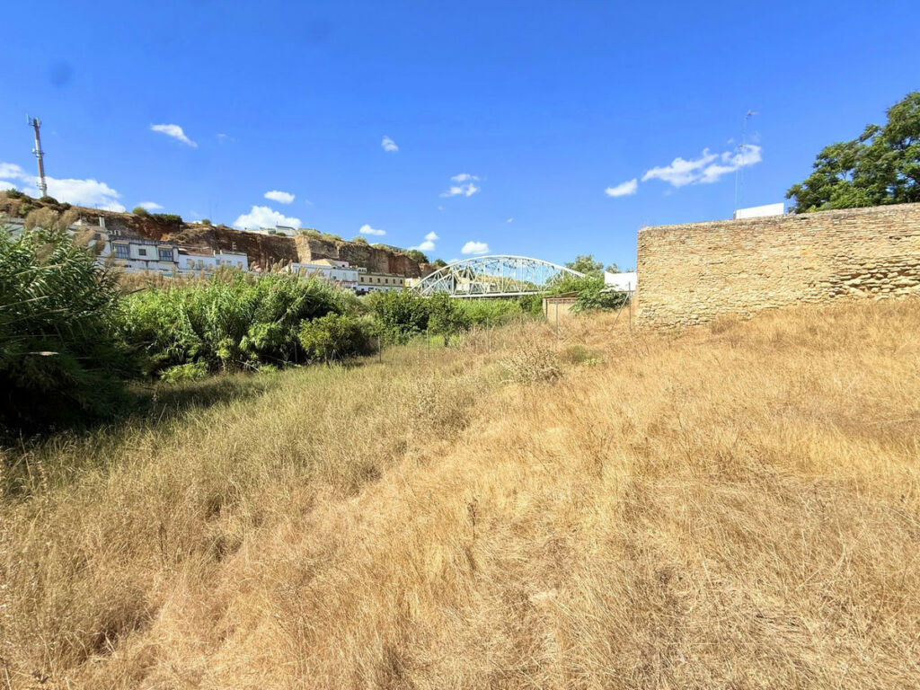 Finca - Cortijo Arcos de la Frontera Cádiz - imagen 45