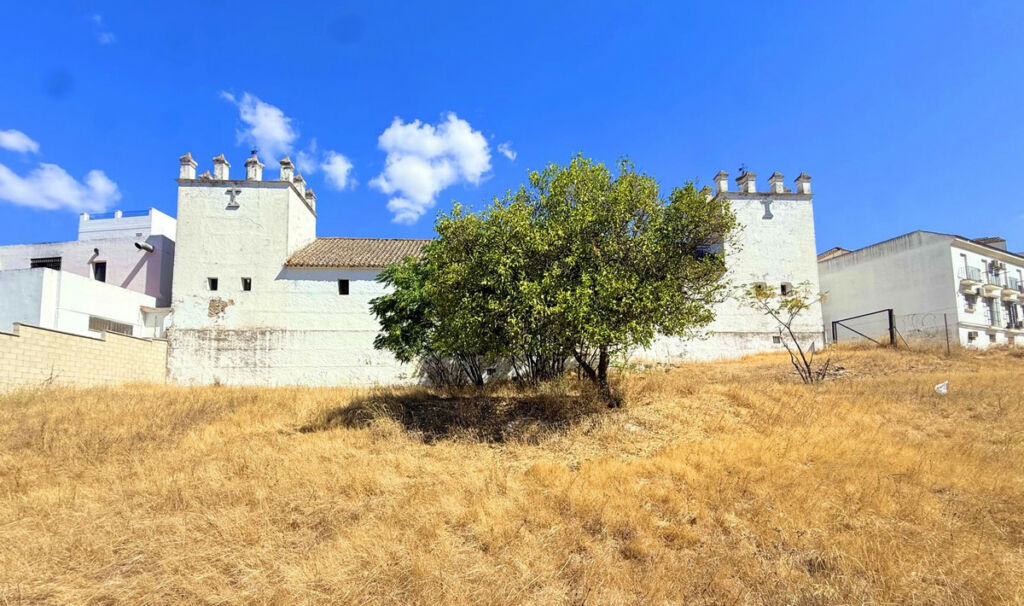 Finca - Cortijo Arcos de la Frontera Cádiz - imagen 46