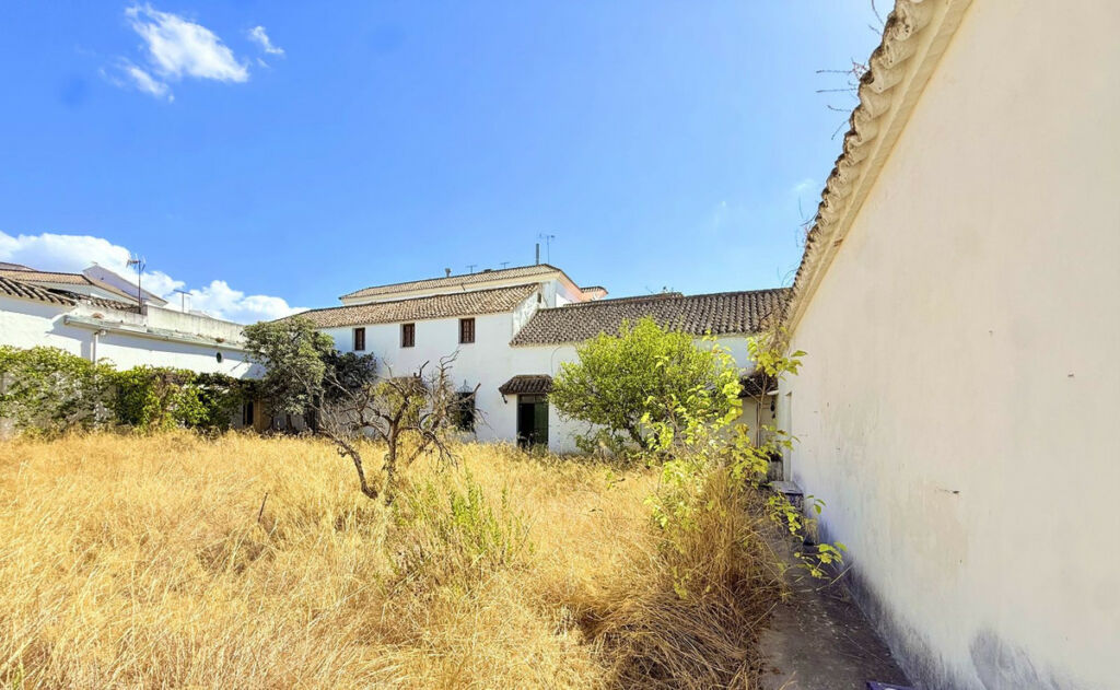 Finca - Cortijo Arcos de la Frontera Cádiz - imagen 47