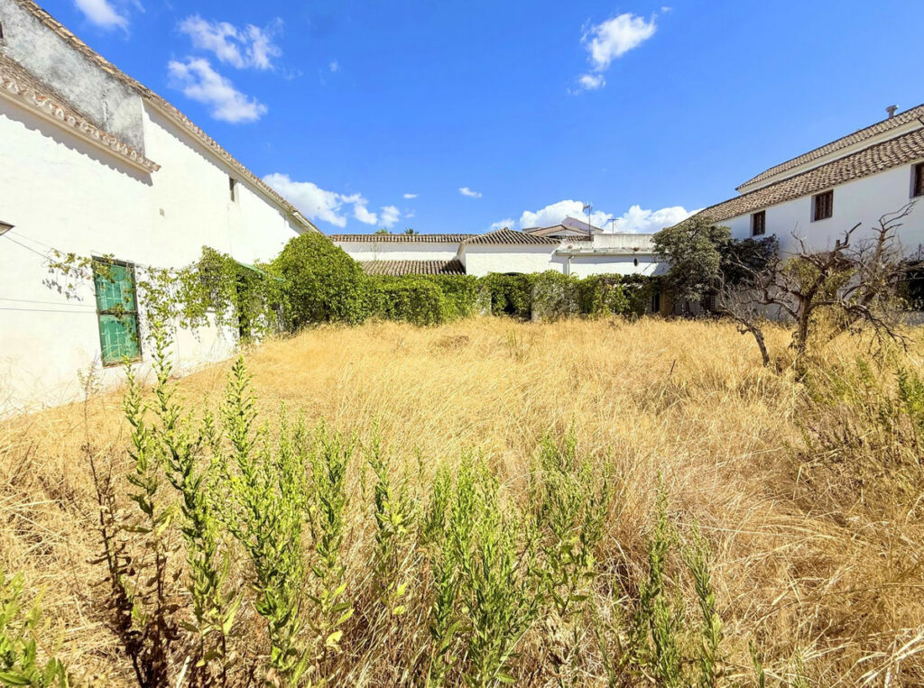 Finca - Cortijo Arcos de la Frontera Cádiz - imagen 48