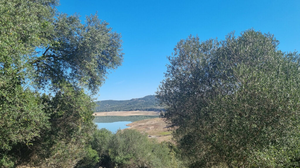 Finca - Cortijo Castellar de la Frontera Cádiz - imagen 5