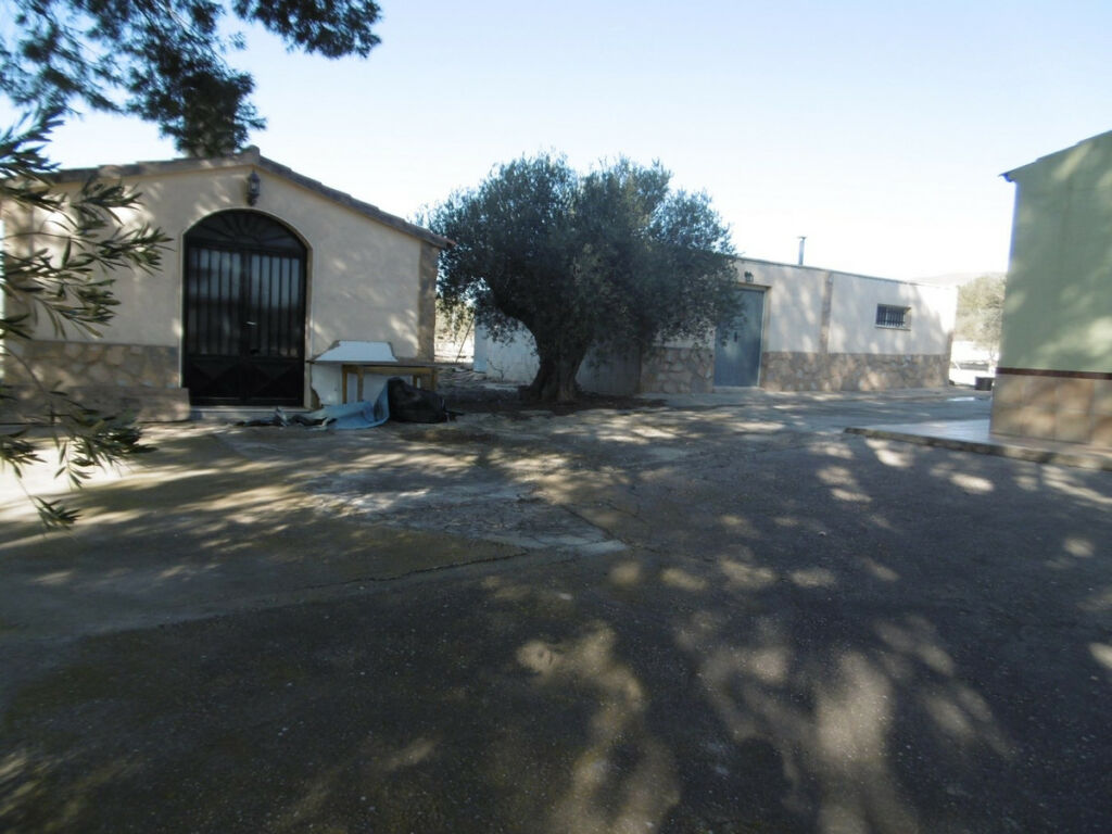 Detached Villa Yecla Murcia - imagen 5