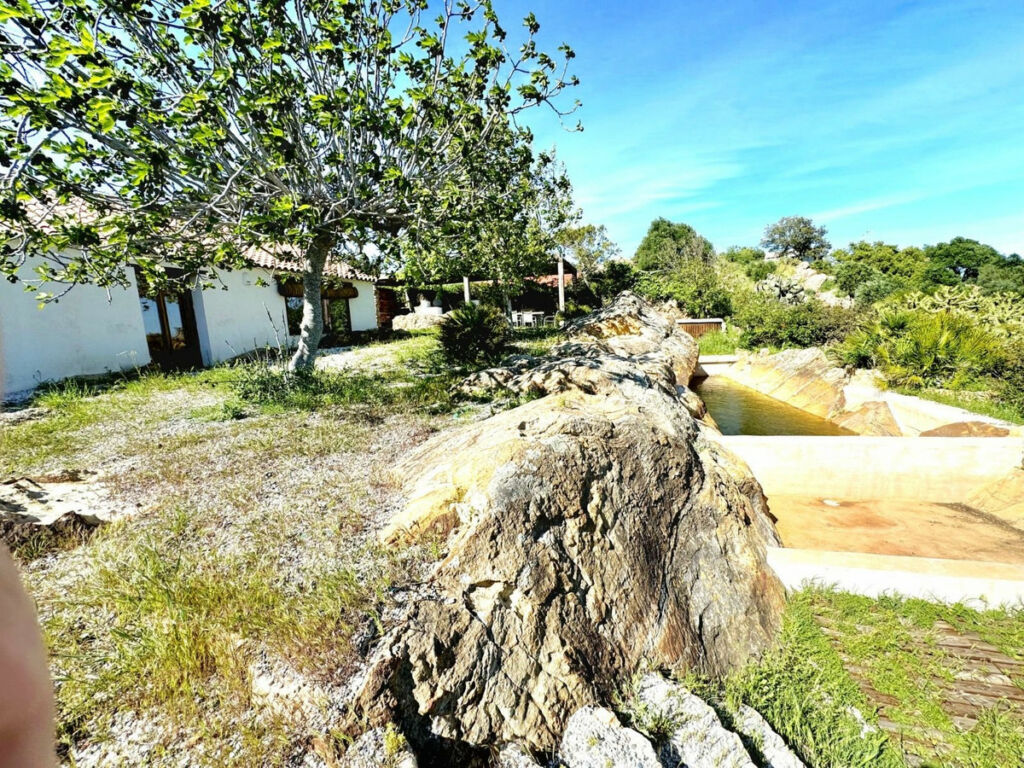 Finca - Cortijo Castellar de la Frontera Cádiz - imagen 5