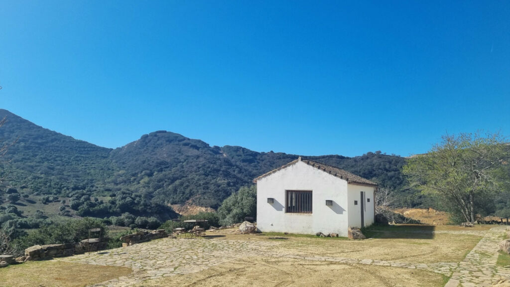Finca - Cortijo Castellar de la Frontera Cádiz - imagen 6